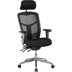 Oyster Ergonomic Office Chair