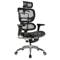 Ergo-1 Mesh Executive high back Chair