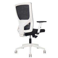 Astro mesh chair back