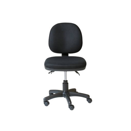 ET20 Ergonomic Task Chair