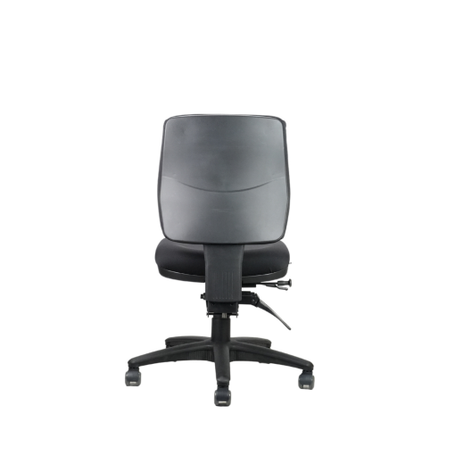 Ergo Midi Ergonomic Chair back view