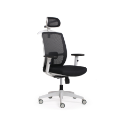 Luminous Mesh Office Task Chair with headrest