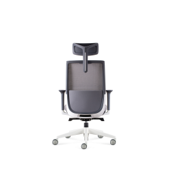 Move Mesh Chair with headrest back view